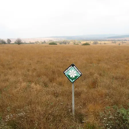 펜션 Daniels 위르트즈펠드